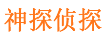 革吉市调查公司